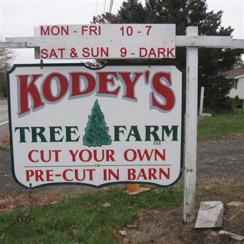 Kodeys tree farm. Things To Know About Kodeys tree farm. 